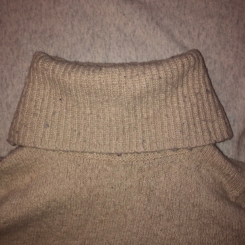 J. Crew Oatmeal Wool Turtleneck
